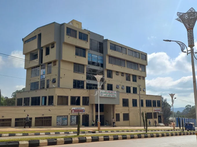 Our Hospital From a distance
