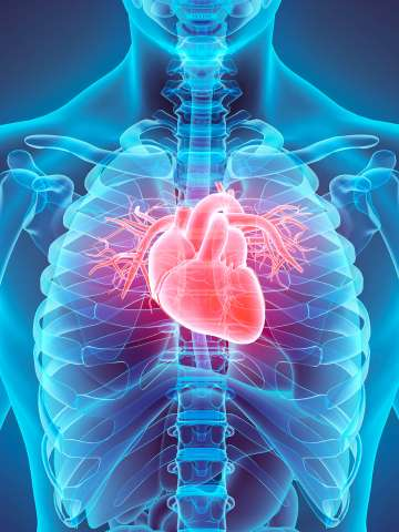 Cardiology Department