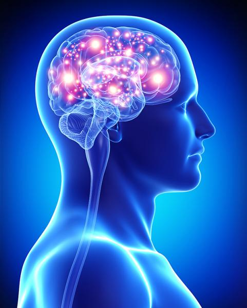 Neurology Department